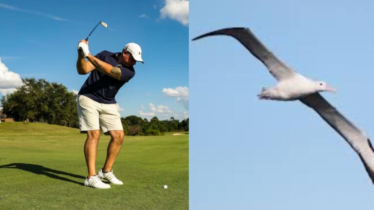What Is An Albatross In Golf?