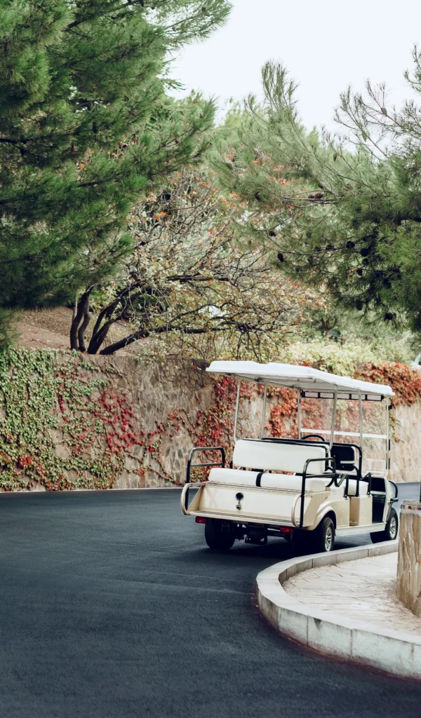 Grinch or Whoville Theme