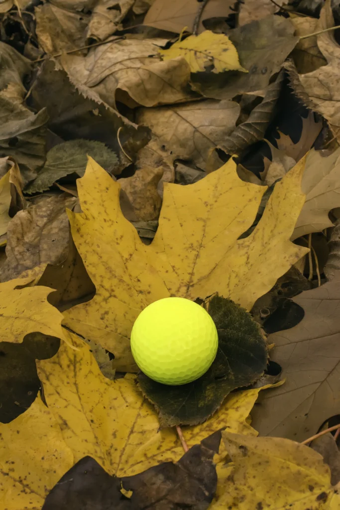 Nature-Inspired Golf Ball Art