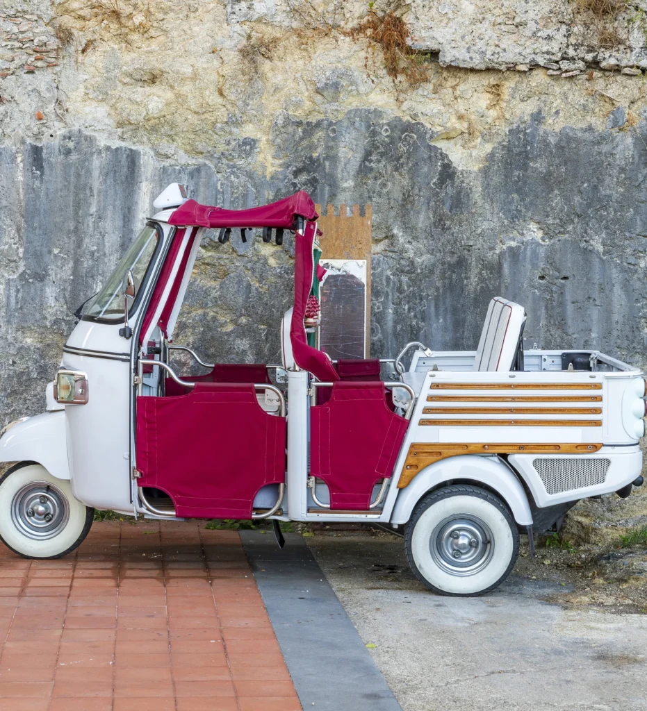 Santa’s Sleigh Golf Cart