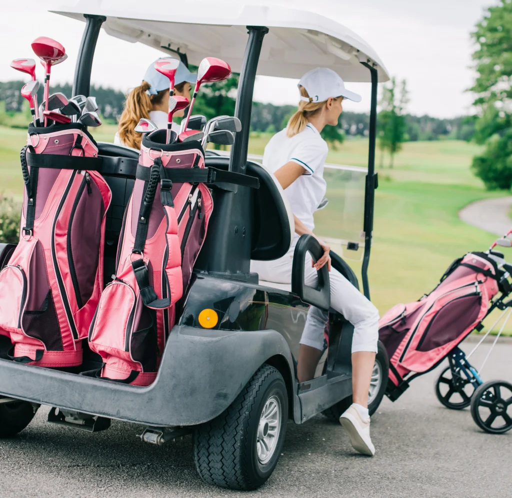 Storage Solutions and Organizers